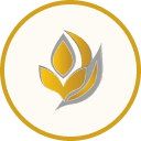 رصد نان